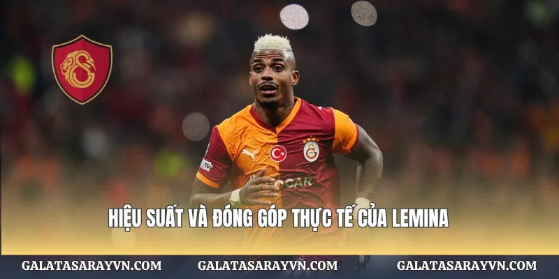 Hiệu suất và đóng góp thực tế của Lemina