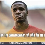 Wilfried Zaha tại Galatasaray Và Dấu Ấn Thi Đấu Nổi Bật