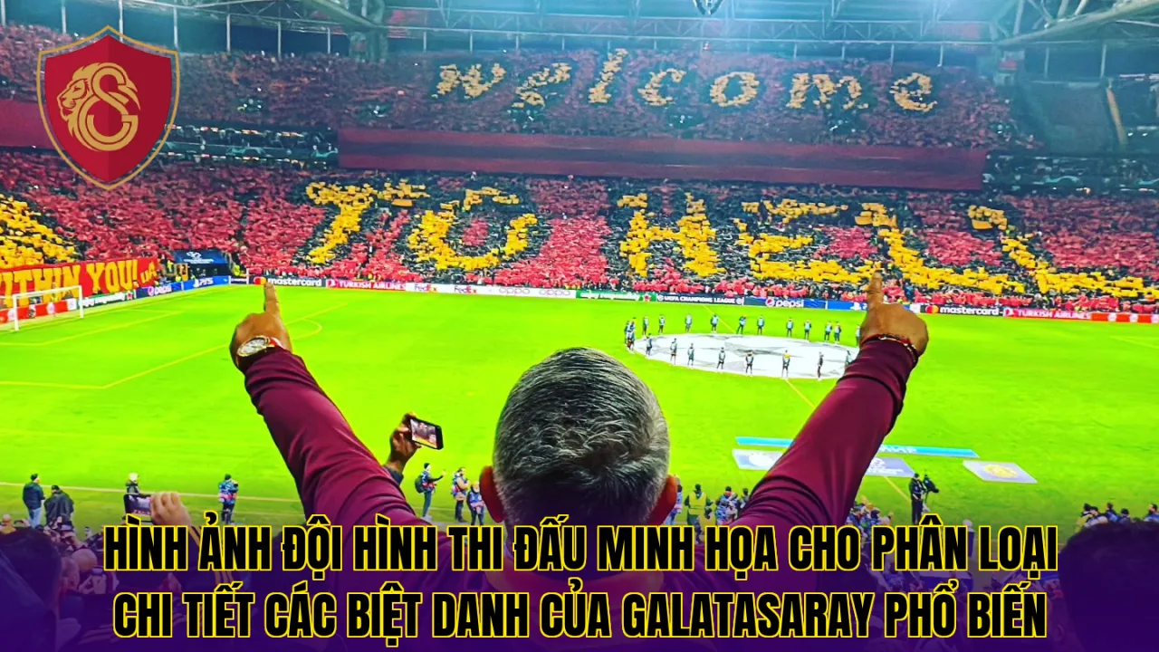 Hình ảnh đội hình thi đấu minh họa cho phân loại chi tiết các biệt danh của Galatasaray phổ biến