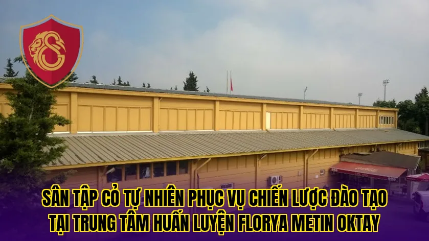 Sân tập cỏ tự nhiên phục vụ chiến lược đào tạo tại trung tâm huấn luyện Florya Metin Oktay